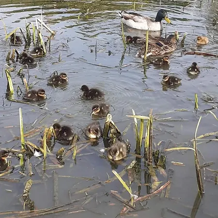 La Ferme De La Loge Epaux-Bezu