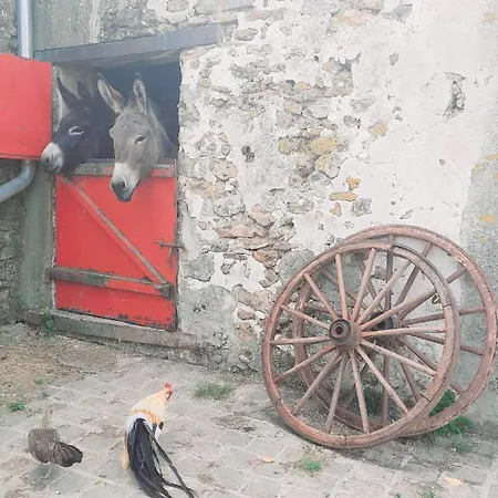La Ferme De La Loge