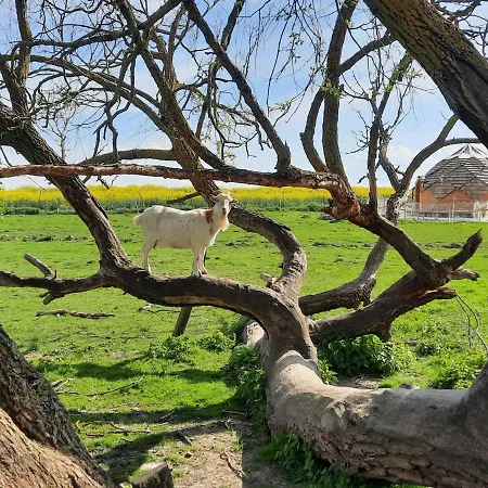 Hotel La Ferme De La Loge Epaux-Bezu