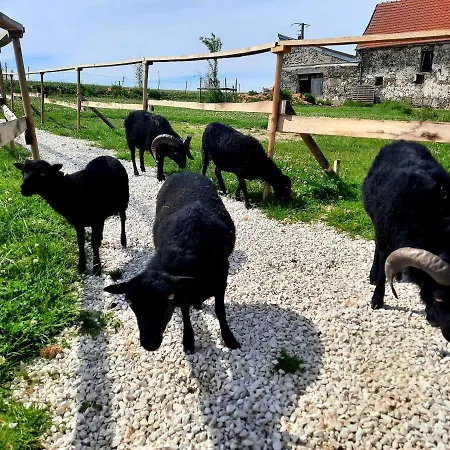 La Ferme De La Loge Country house Epaux-Bezu