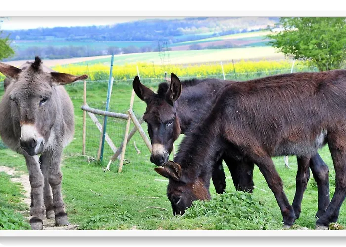La Ferme De La Loge *