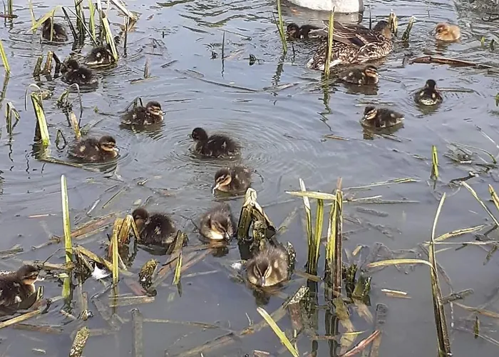 La Ferme De La Loge Epaux-Bezu