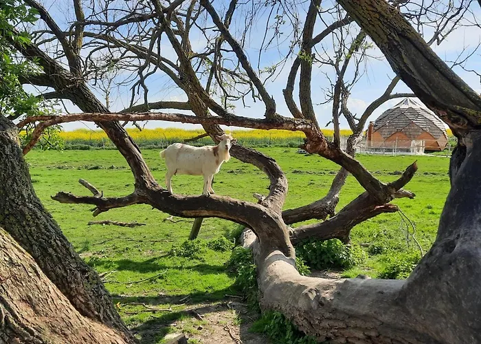 Hotel La Ferme De La Loge Epaux-Bezu