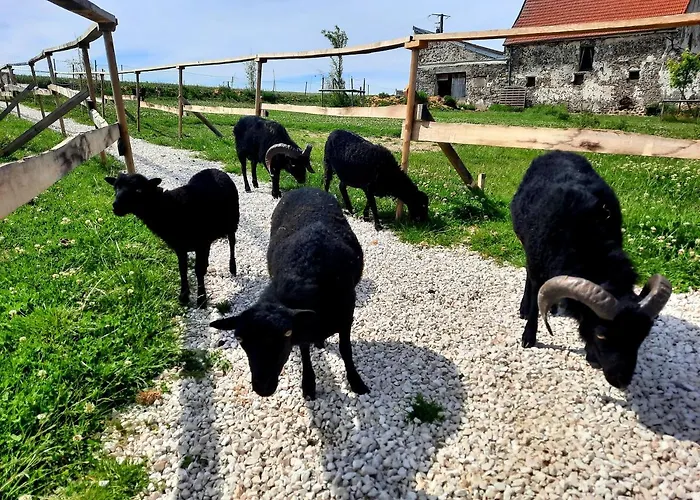 La Ferme De La Loge Hotel Epaux-Bezu